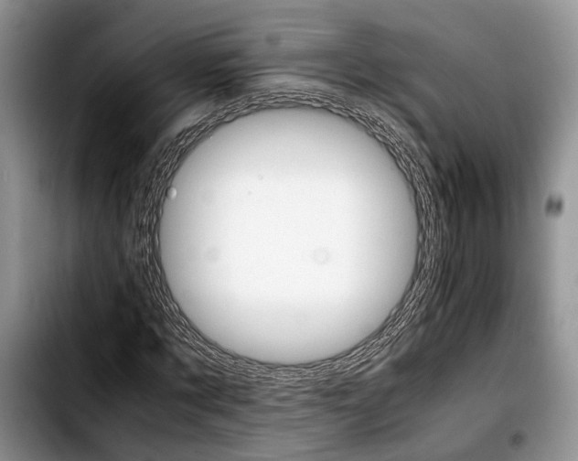 X0000103900869200810101243