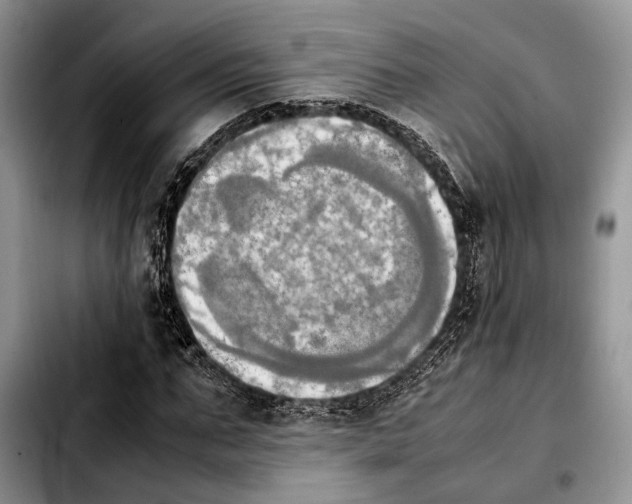 X0000103900871200810101243