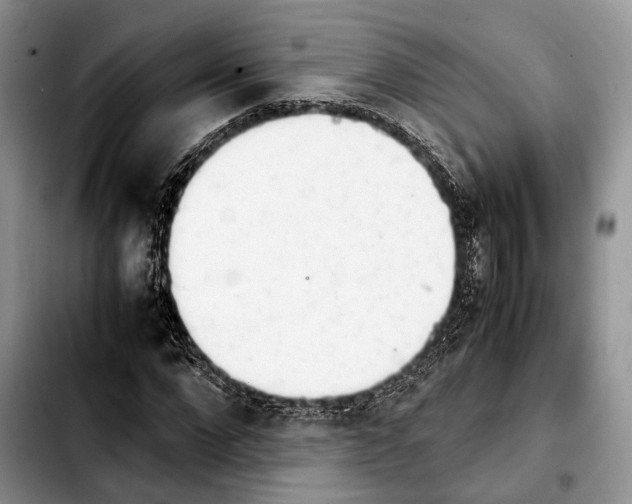 X0000103900872200810101243