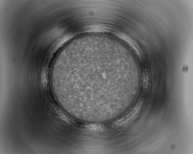 X0000103900874200810101243