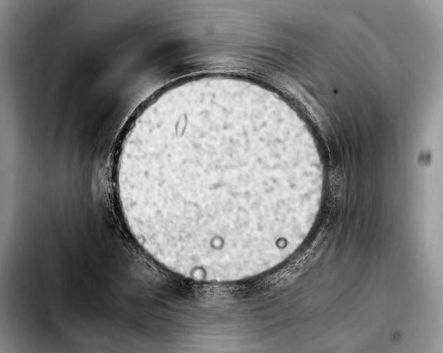 X0000103900875200810101243