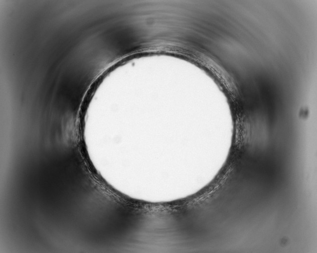 X0000103900876200810101243