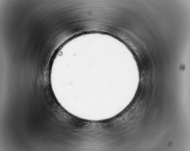 X0000103900877200810101243