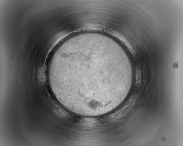 X0000103900878200810101243