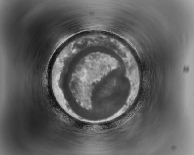 X0000103900879200810101243