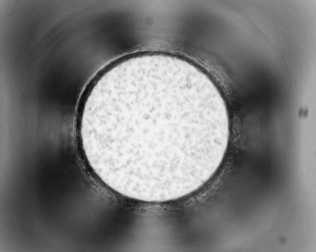 X0000103900880200810101243