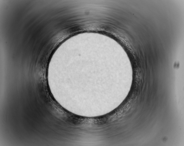 X0000103900881200810101243