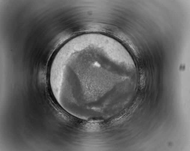 X0000103900882200810101243