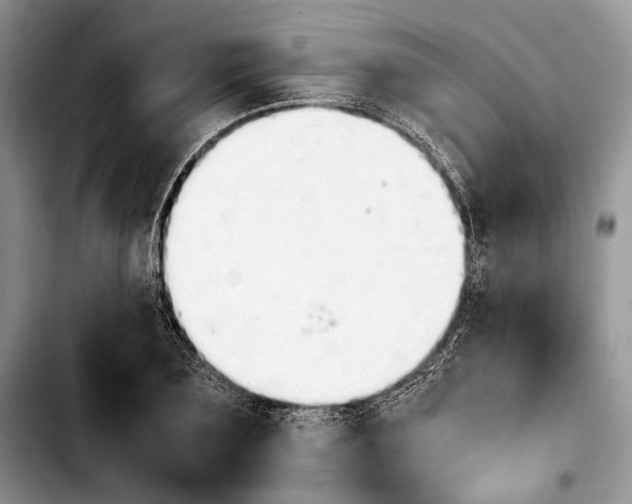 X0000103900883200810101243