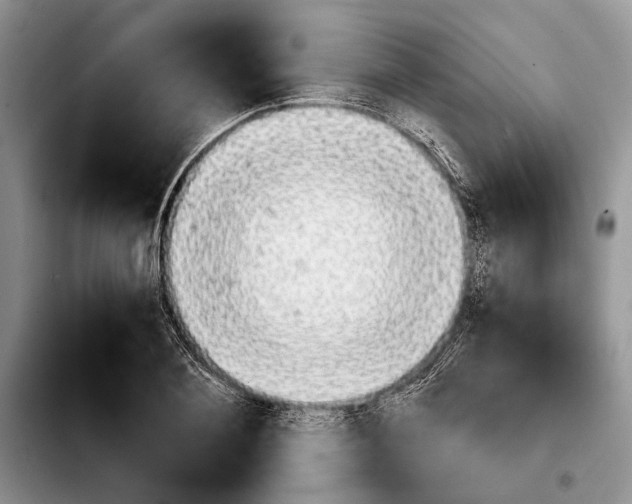 X0000103900884200810101243