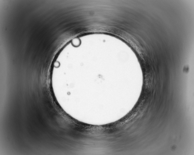 X0000103900885200810101243