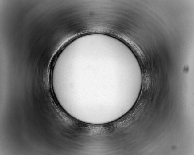 X0000103900886200810101243