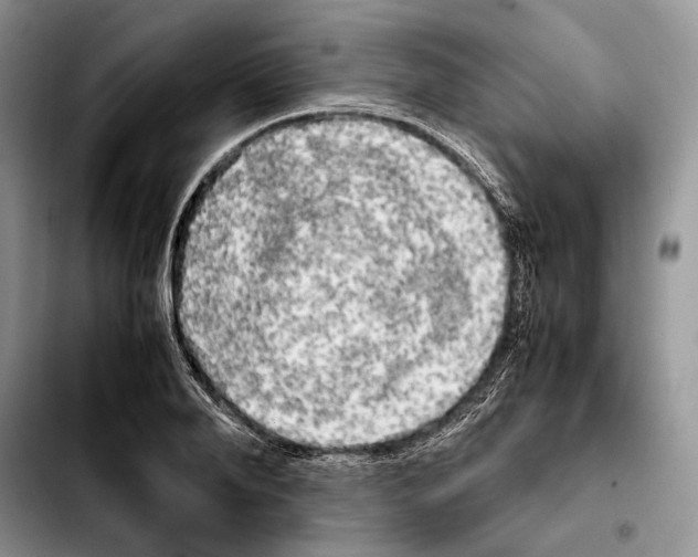 X0000103900888200810101243