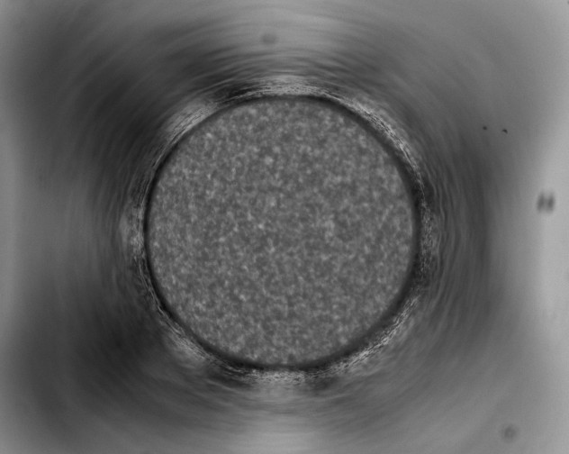 X0000103900889200810101243