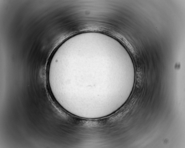 X0000103900890200810101243