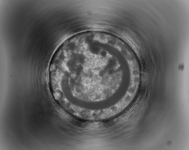 X0000103900891200810101243