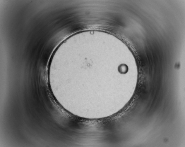 X0000103900892200810101242