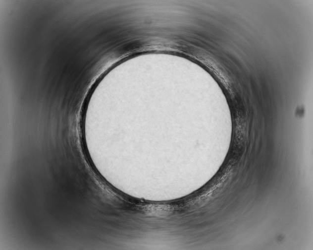 X0000103900893200810101242