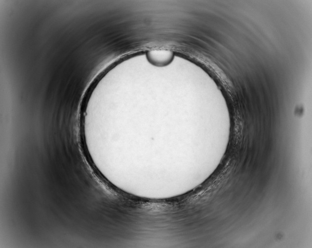 X0000103900894200810101242