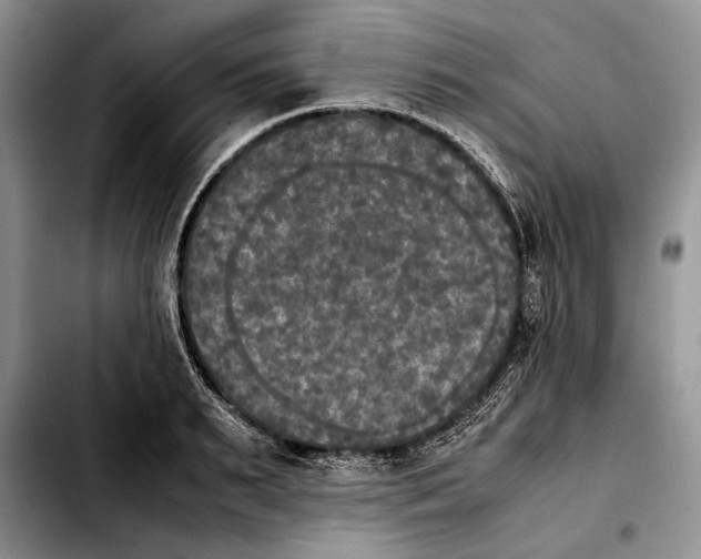 X0000103900895200810101242