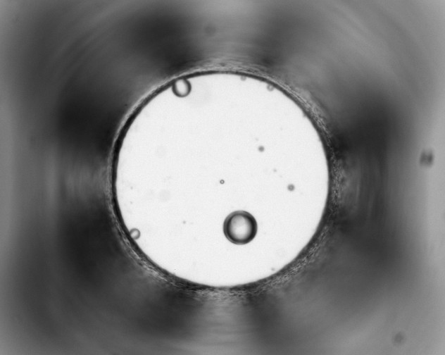 X0000103900896200810101242