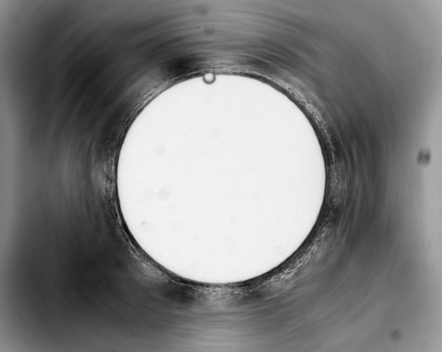 X0000103900897200810101242