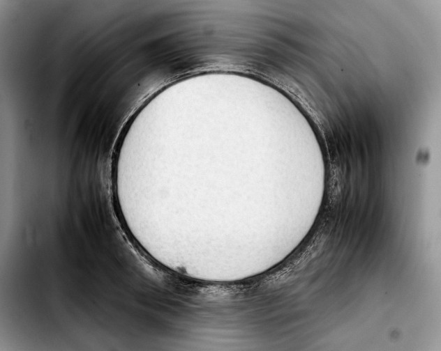 X0000103900898200810101242