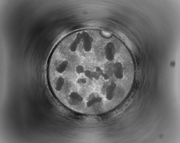 X0000103900899200810101242