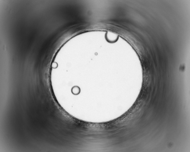 X0000103900901200810101242