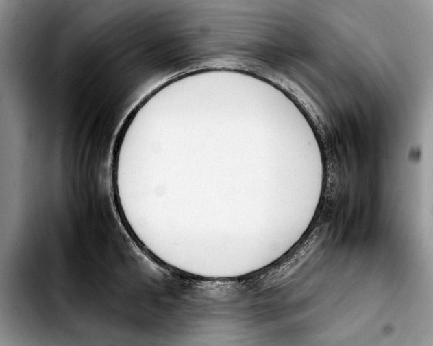 X0000103900902200810101242