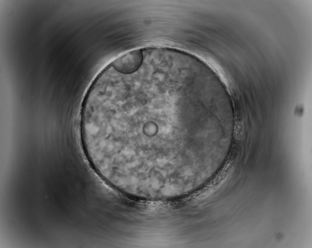 X0000103900903200810101242