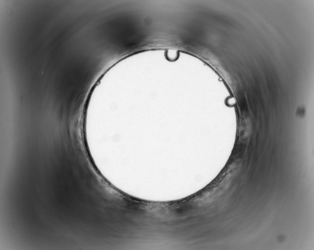 X0000103900909200810101242