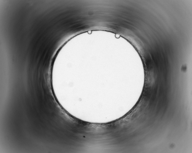 X0000103900910200810101242