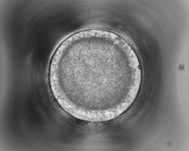 X0000103900912200810101242