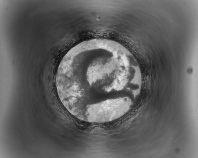 X0000103900913200810101242