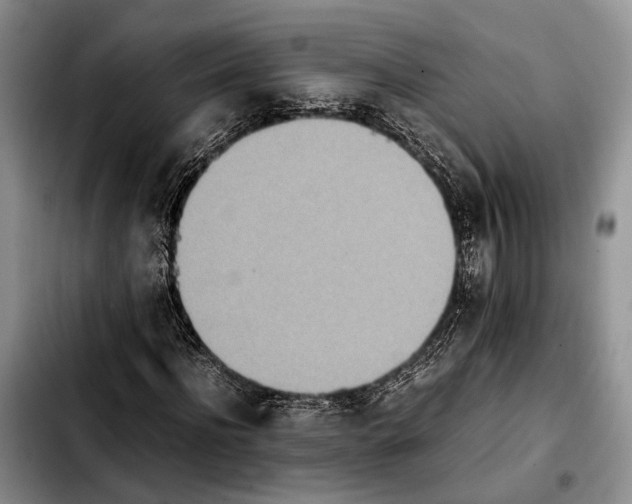 X0000103900916200810101242