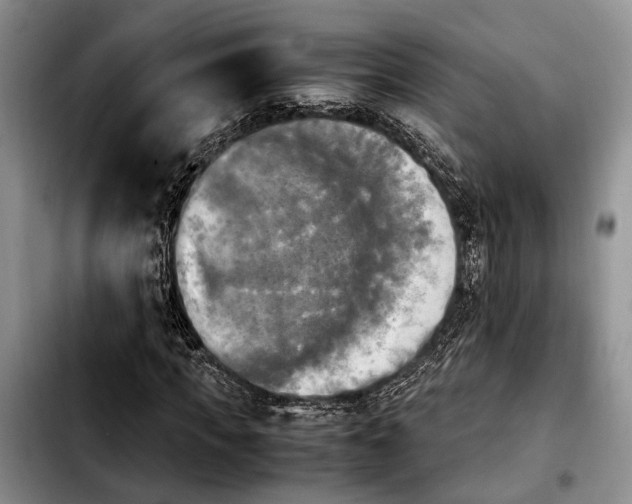 X0000103900917200810101242