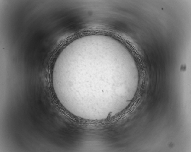 X0000103900918200810101242