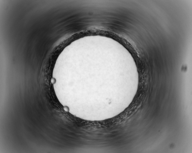 X0000103900919200810101242