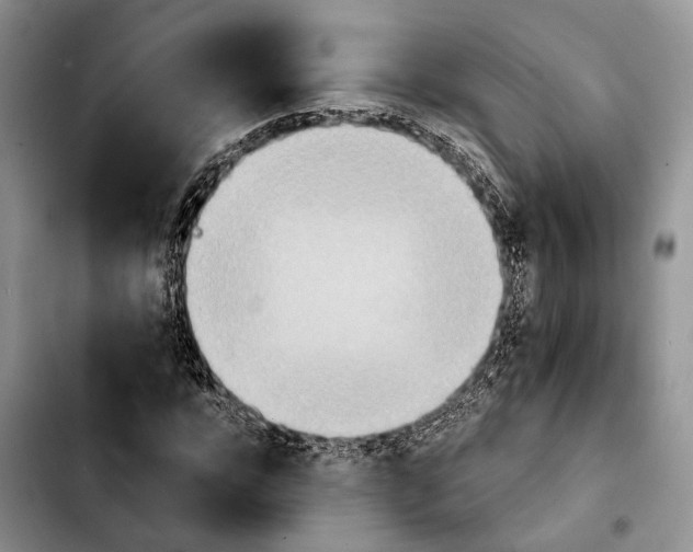 X0000103900920200810101242