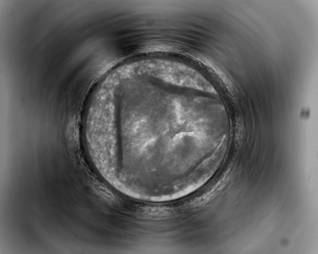 X0000103900921200810101242