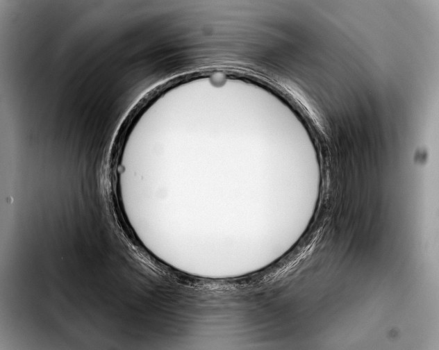 X0000103900924200810101242