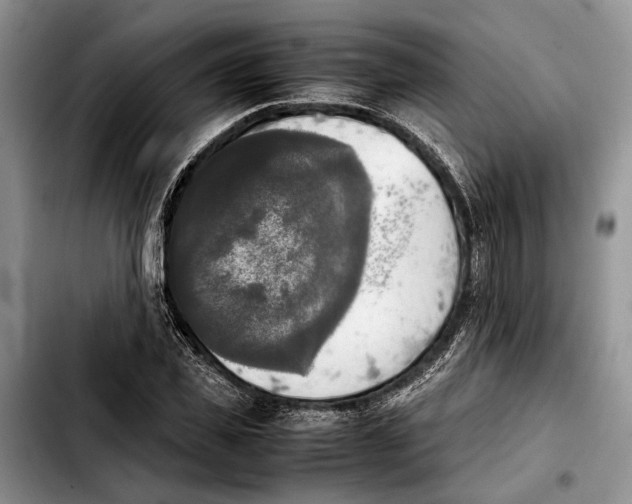 X0000103900925200810101242