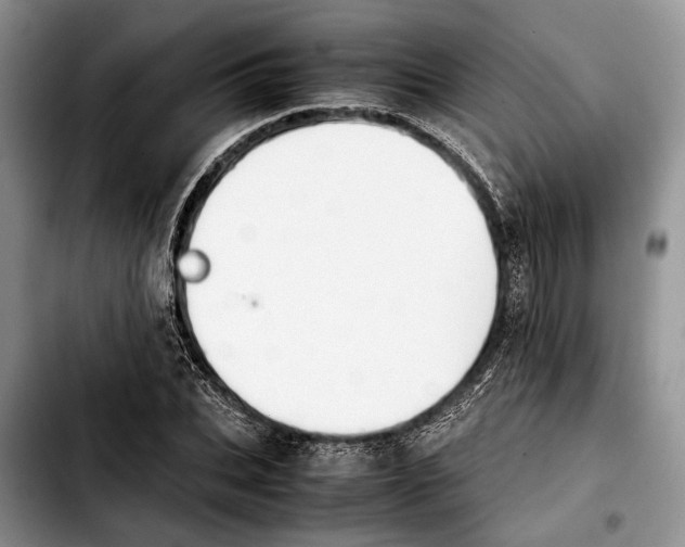 X0000103900927200810101242