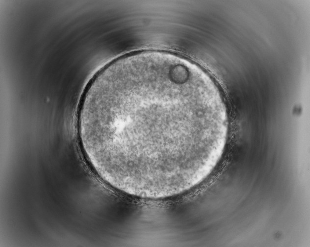 X0000103900928200810101242