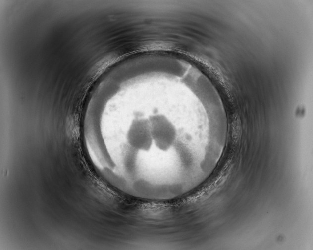 X0000103900929200810101242