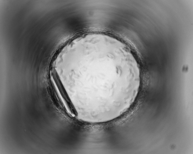 X0000103900930200810101242