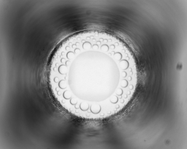 X0000103900931200810101242