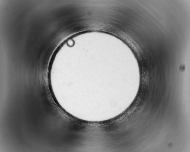 X0000103900932200810101242