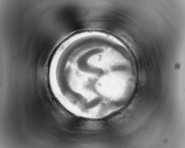 X0000103900933200810101242